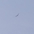 a very distant, barely visible buzzard flying