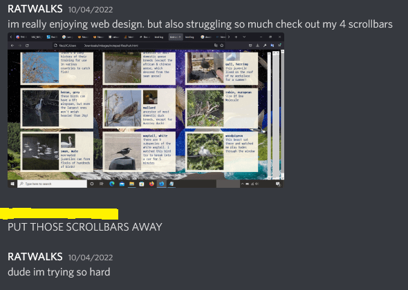 a screenshot of a discord chat. ratwalks says, 'im really enjoying web design but im also struggling so much check out my 4 scrollbars'. attached is a screenshot of his browser, showing the bird zone from his site with four differently sized scrollbars on the side.  a second person with a censored name says in all caps, 'put those scrollbars away'.  ratwalks replies 'dude im trying so hard'.