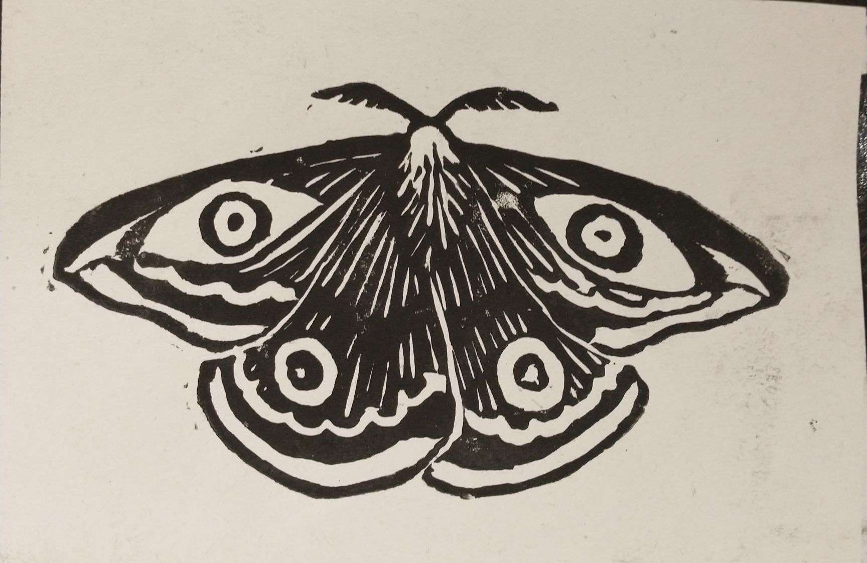 a black and white linocut of an emperor moth.  the moth's prominent eye spots make it look like it is staring at the viewer.