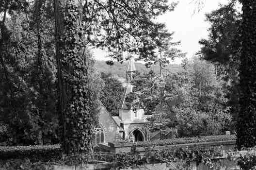 a shot of dark, ivy covered trees. further down, two small chapel rooms with a spire between them.
